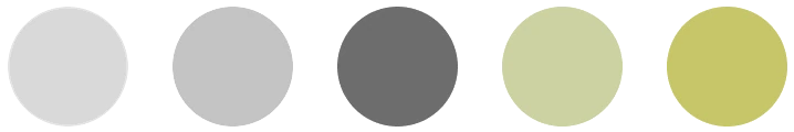Echeverría brand colour palette