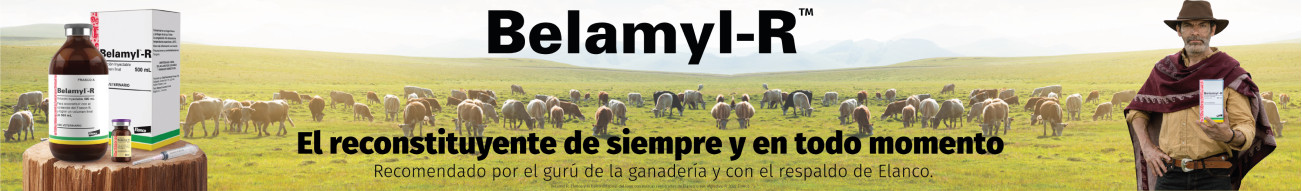 Belamyl-R — El reconstituyente de siempre y en todo momento