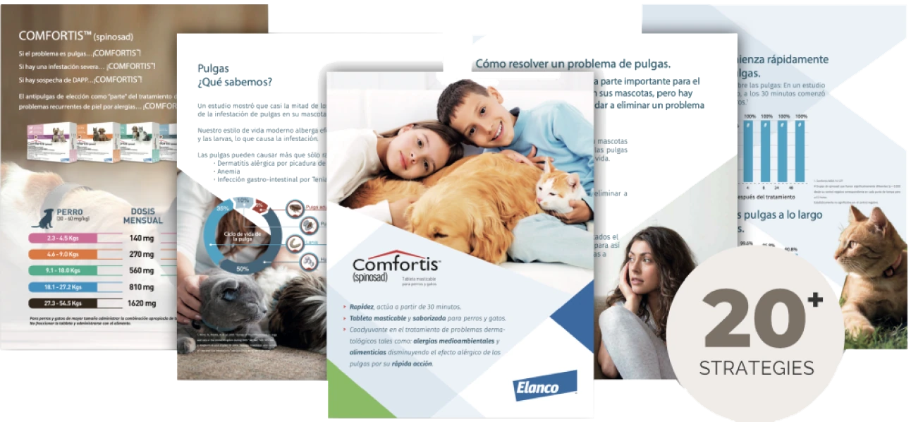 Comfortis educational brochure spread — 20+ strategies