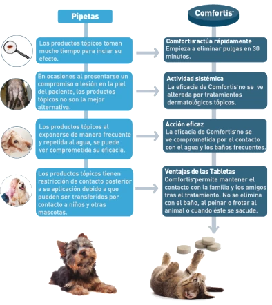 Comfortis versus spot-on treatments comparison chart
