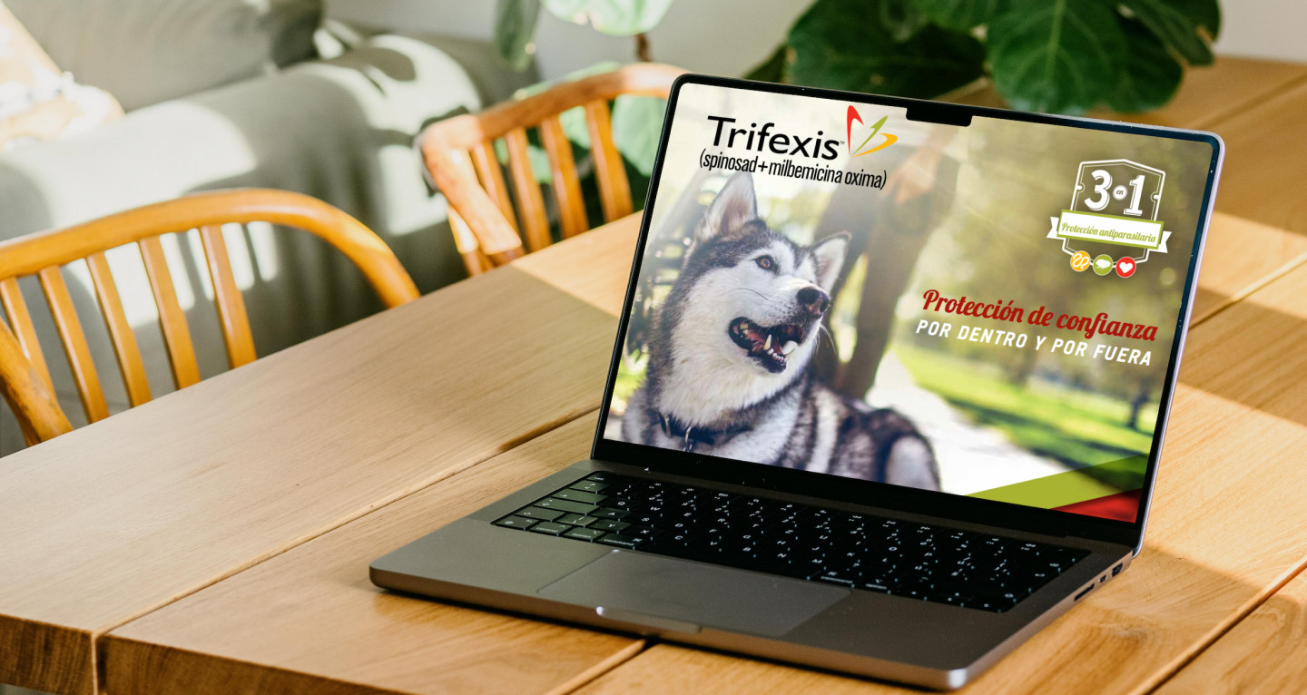 Trifexis campaign shown on a laptop