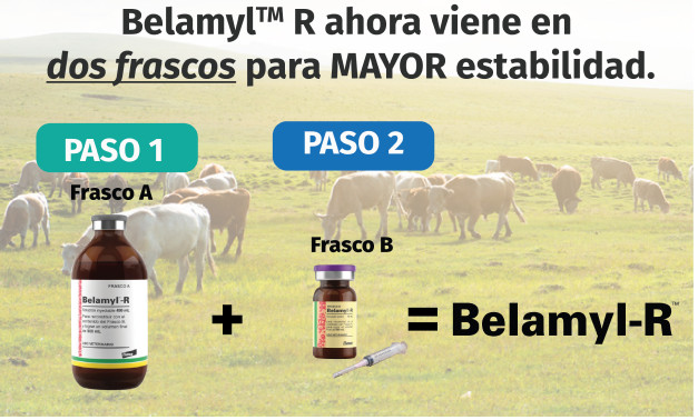 Belamyl-R now comes in two bottles for greater stability