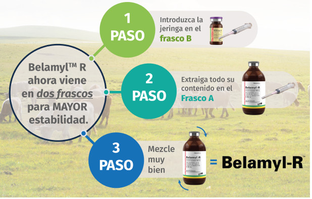 Three-step mixing instructions for Belamyl-R