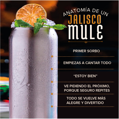Anatomía de un Jalisco Mule cocktail post