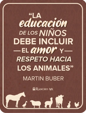 “La educación de los niños debe incluir el amor y respeto hacia los animales” — Martin Buber