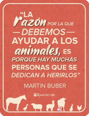 “La razón por la que debemos ayudar a los animales, es porque hay muchas personas que se dedican a herirlos” — Martin Buber